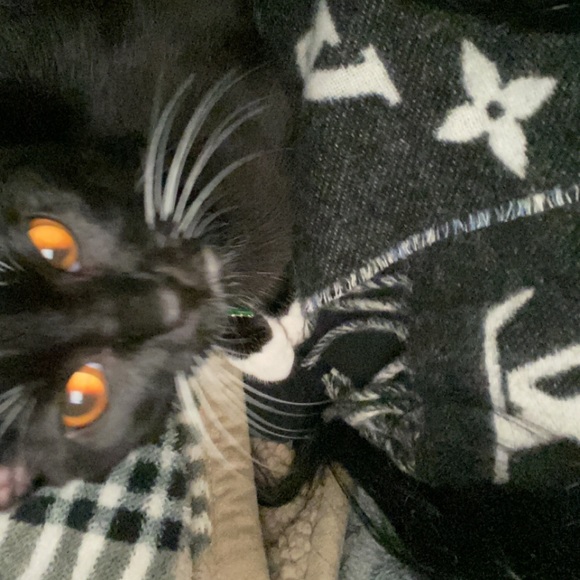 Back on posh.. starting up all new!!Miss you guys - Picture 7 of 7